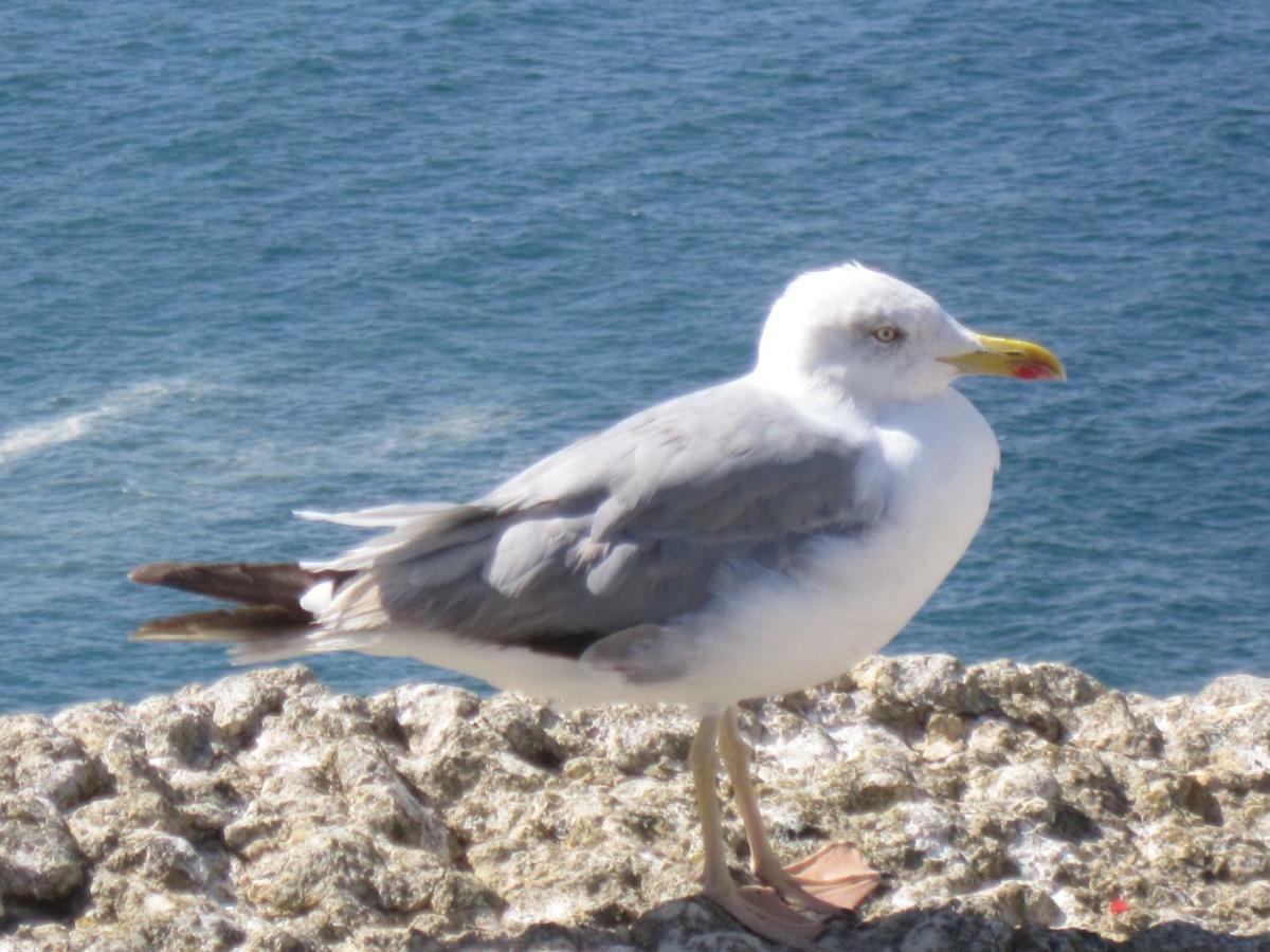 Seethesea Ναζαρέ Εξωτερικό φωτογραφία